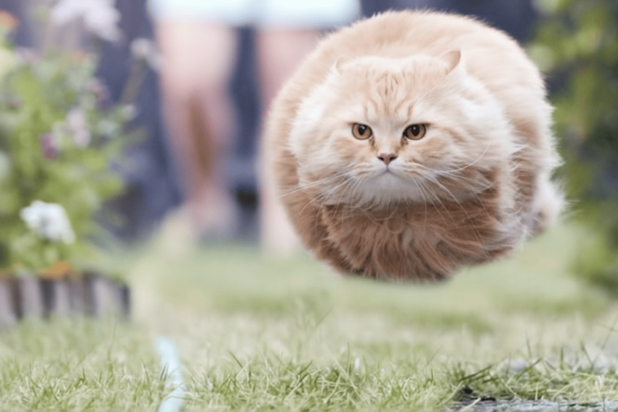 要不要... 先测试一下